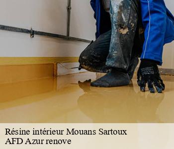 Résine intérieur 06370