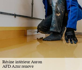 Résine intérieur 06660