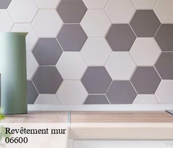 Revêtement mur 06600