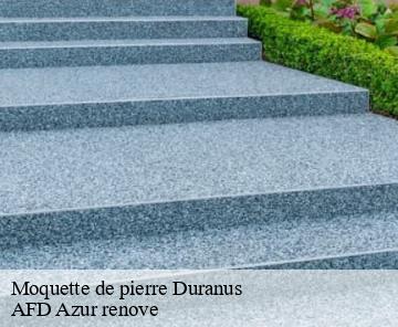 Moquette de pierre duranus-06670 AFD Azur renove