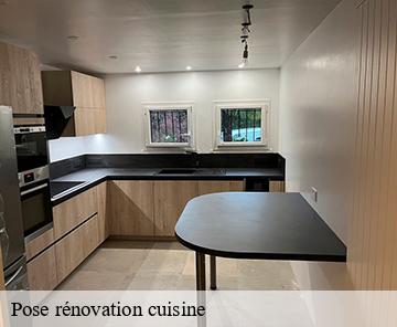 Pose rénovation cuisine 06640