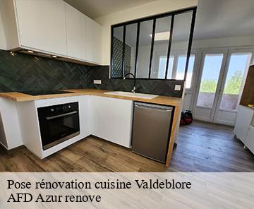 Pose rénovation cuisine 06420