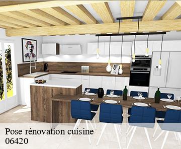 Pose rénovation cuisine 06420