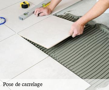 Pose de carrelage 06470