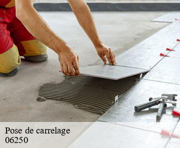 Pose de carrelage 06250