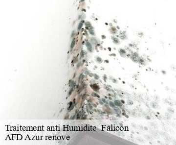 Traitement anti Humidite falicon-06950 AFD Azur renove