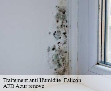 Traitement anti Humidite 06950