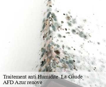 Traitement anti Humidite la-gaude-06610 AFD Azur renove