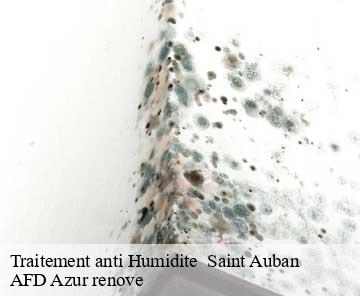 Traitement anti Humidite saint-auban-06850 AFD Azur renove