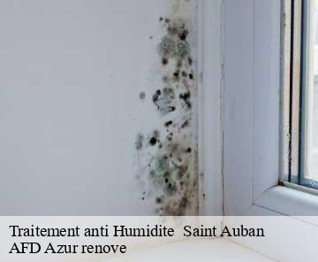 Traitement anti Humidite 06850