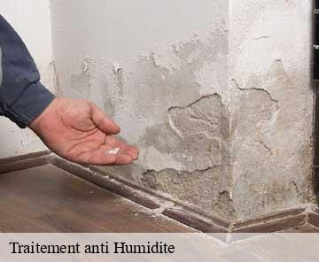 Traitement anti Humidite