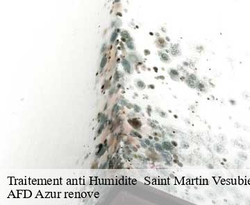 Traitement anti Humidite saint-martin-vesubie-06450 AFD Azur renove