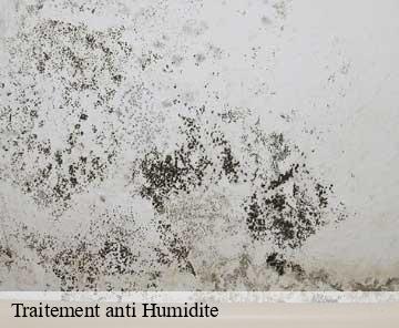 Traitement anti Humidite