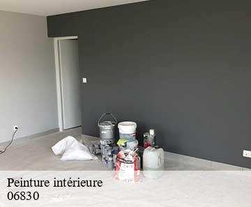 Peinture intérieure 06830