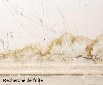 Recherche de fuite 06600