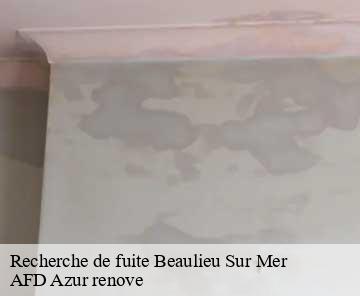 Recherche de fuite beaulieu-sur-mer-06310 AFD Azur renove