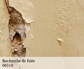 Recherche de fuite 06310
