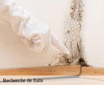 Recherche de fuite