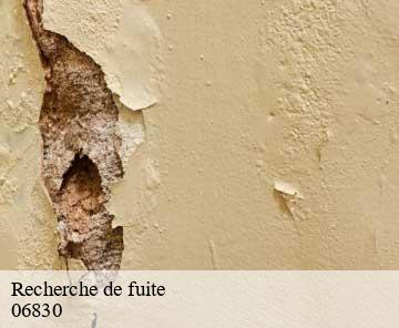 Recherche de fuite 06830