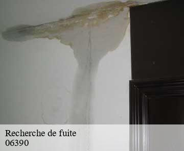 Recherche de fuite 06390