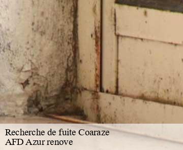 Recherche de fuite 06390