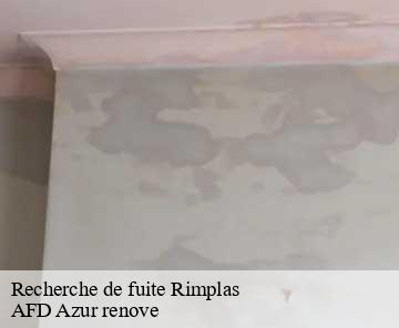 Recherche de fuite rimplas-06420 AFD Azur renove