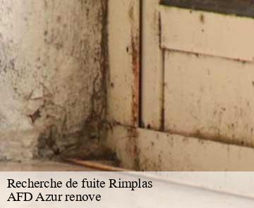 Recherche de fuite 06420