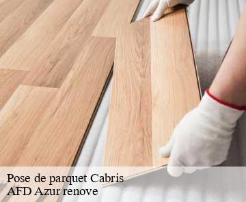 Pose de parquet 06530