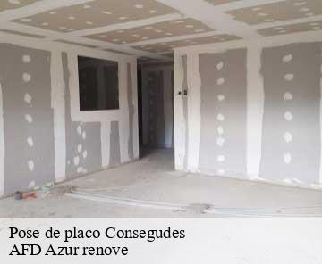 Pose de placo consegudes-06510 AFD Azur renove