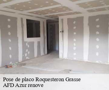 Pose de placo roquesteron-grasse-06910 AFD Azur renove